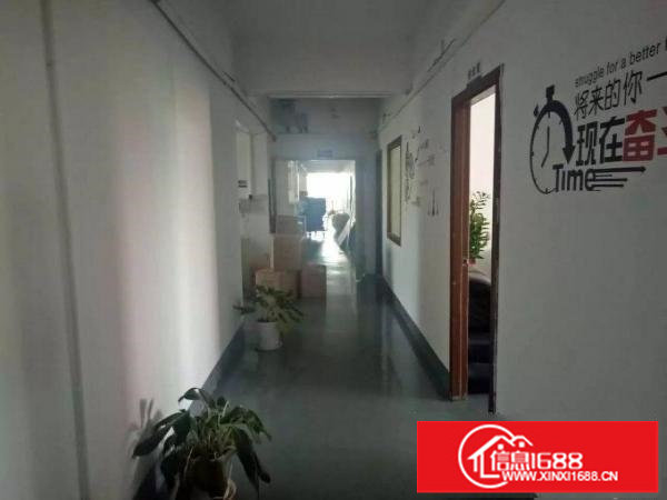 坂田1000平米带装修厂房出租，不用转让费