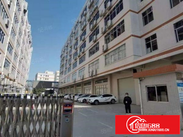 塘厦高速口田心新出原房东楼上一整层3000平厂房仓库出租