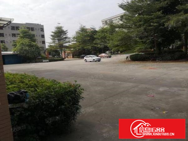 横沥西城新出一楼原房东分租680，340平方水电齐全高度8米