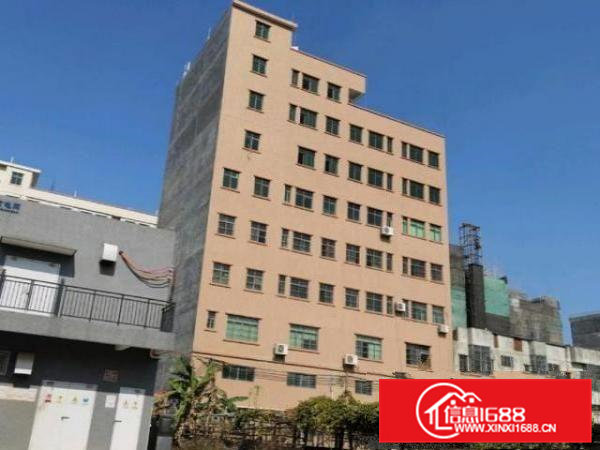 大朗校椅围400平方厂房出租