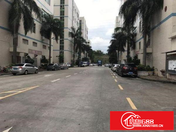 龙华布龙路元芬村一楼600招租