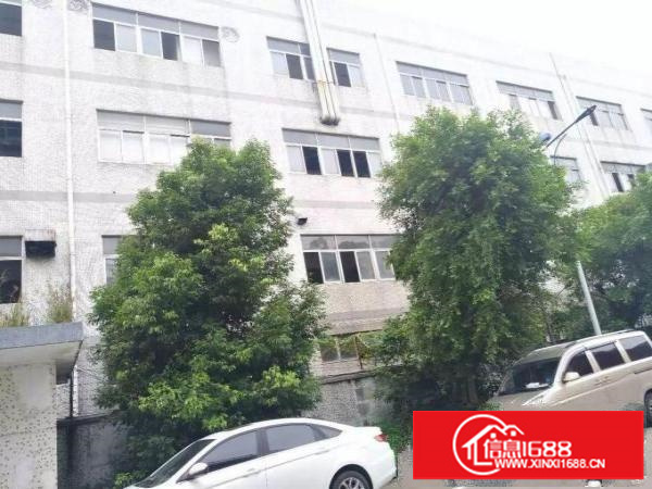 横岗独院超大空地厂房6000平米单价18元