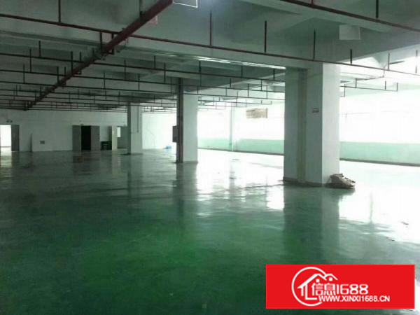 民治地铁口新出跨境电商园900平带装修厂房出租