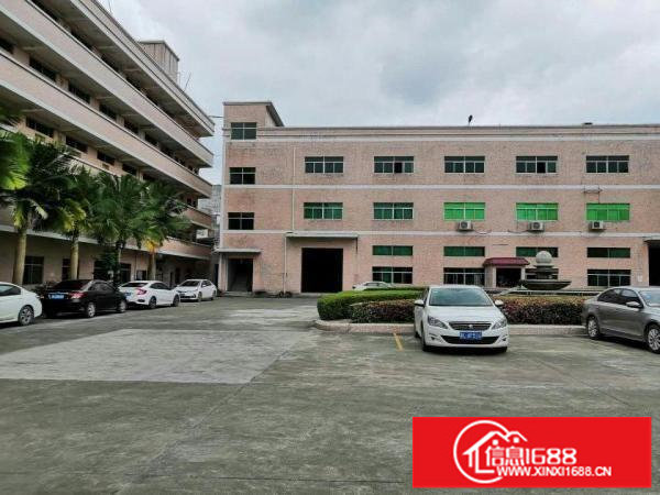 嶂背路口原房东一楼1300平招租