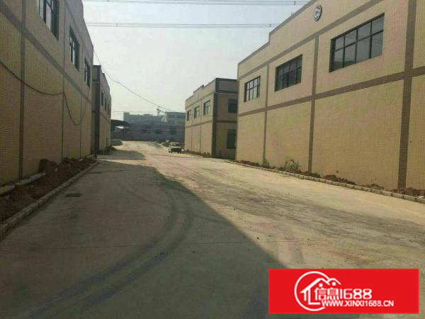 仲恺沥林原房东全新钢构厂房8000平方，10元分租