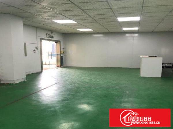 博罗福田原房东楼上1500平带装修厂房出租可分租