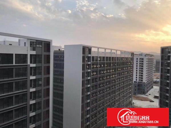 龙岗坪地红本厂房16万平米带装修出租，可分租