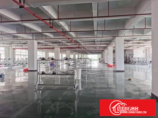 企石镇原房东楼上带豪华装修3000平米出租有VOC排放指标