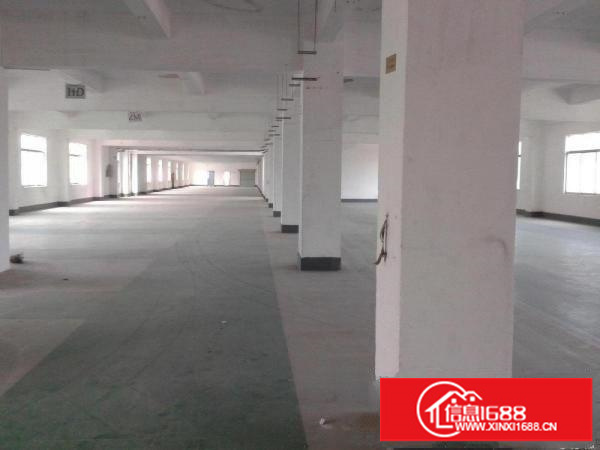 横岗力嘉工业区公交站龙岗大道马路边460平、半层厂房