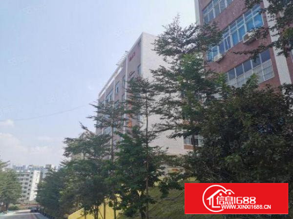 急租石岩水田工业园红本厂房2300平带装修可以办环评