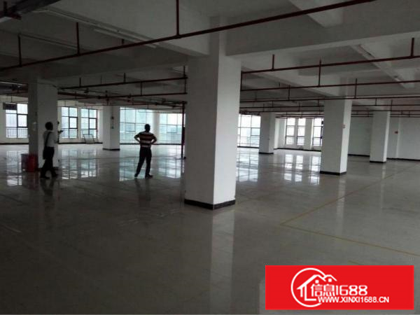 大亚湾西区新出2楼2300平方白菜价出租