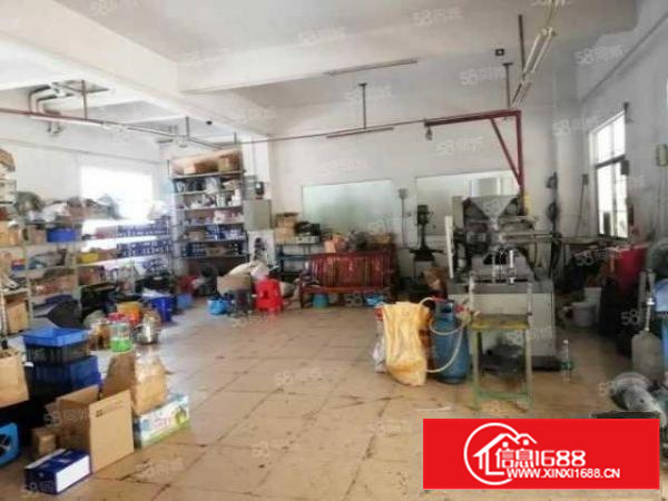 石龙蒲溪村出租厂房一楼230平水电齐全