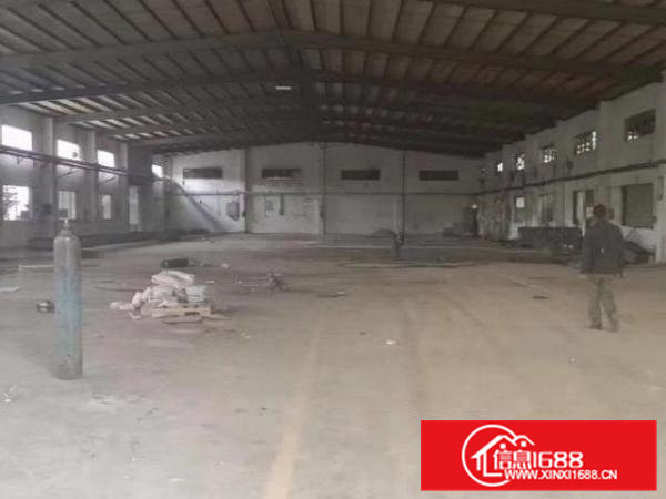 大朗新马莲新出独院单一层钢构厂房3600平滴水7米带牛角