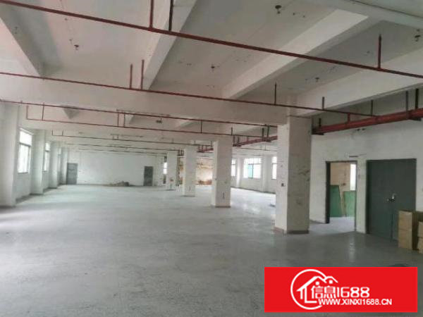 大芬地铁站旁每层1500平方大小分租