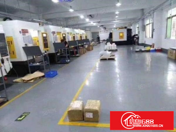 龙华大浪新出原房东楼上带装修800平方厂房招租