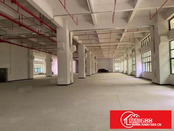 东坑镇原房东全新现成排放环评标准独院厂房出租