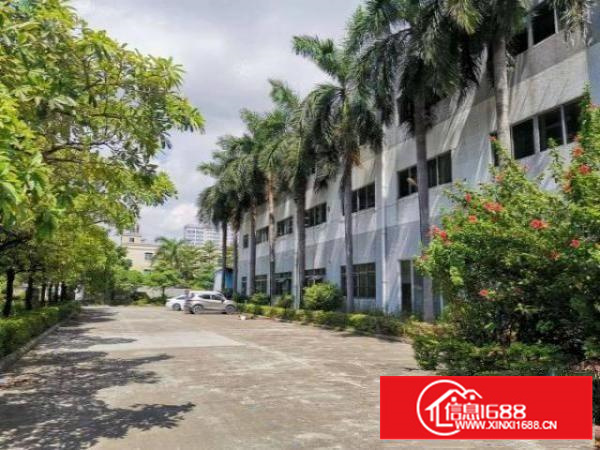 石碣横滘村2楼800方（现成装修水电齐全）