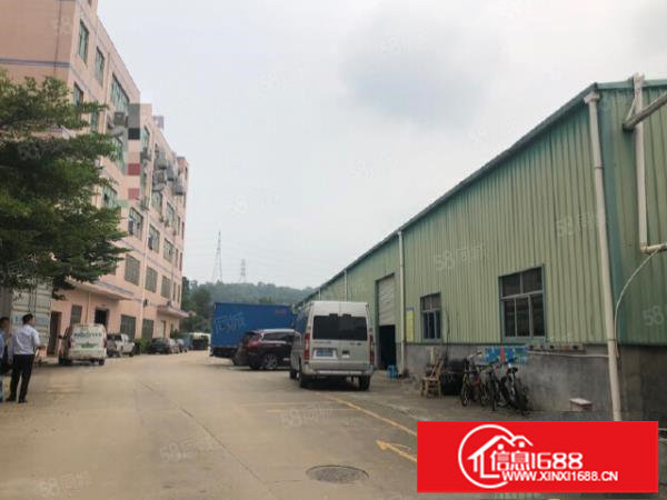 观澜原房东独门独院厂房15层4000平带消防喷淋招租