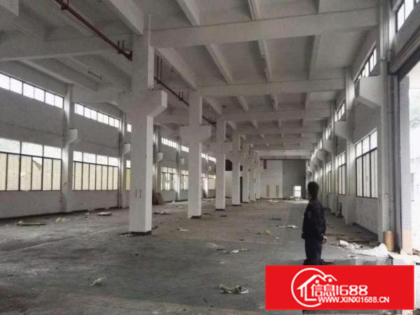 国道边超靓厂房单一层 标准两层共7625平米