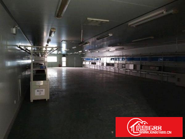 坪山坪山碧岭新出原房东无尘车间500平米