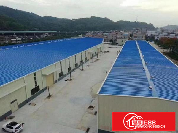 新圩G205国道边独院钢构1200平米带环保批文