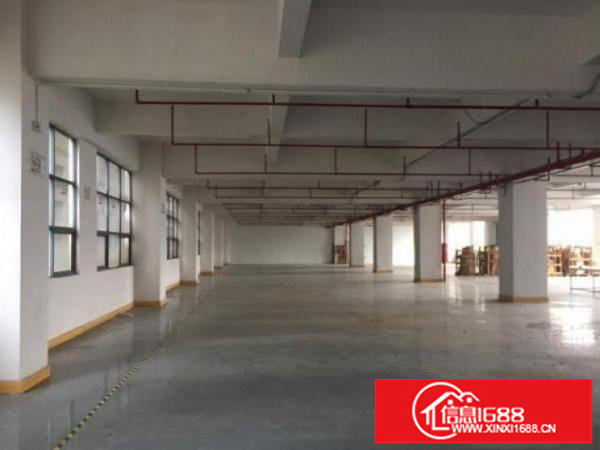 横岗安良全新工业园高新厂房80000平招租可分租