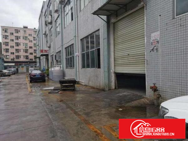 凤岗新出一楼小加工厂房560平方