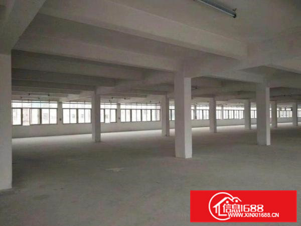 常平（原房东独栋）一二楼1000平米出租