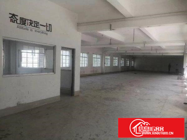 凤岗精品独院3620全新电梯现成办公室价格可谈