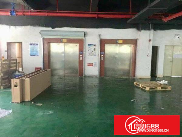 布吉上李朗新出厂房1.4万平分租1800平户型方正大小可分租