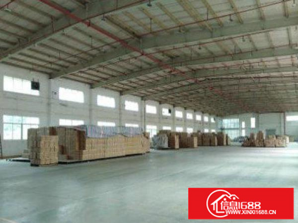 钢构厂房800平招租，可办环大小可分