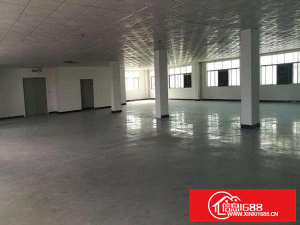 横沥新出独院厂房分租二楼1200平方带装修出租