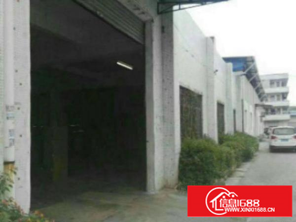 万江独院单一层钢结构1500平方厂房此厂房地段好、好招工，交