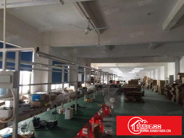 龙岗五联新出独院3层4000平米厂房出租可分租