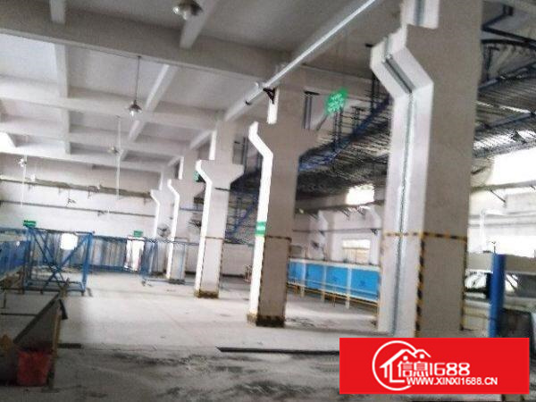 龙华大浪独门独院单一层厂房出租