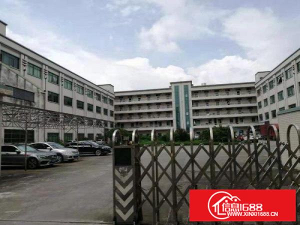 石湾科技园全新重工业厂房出租14层3800平，证件齐全