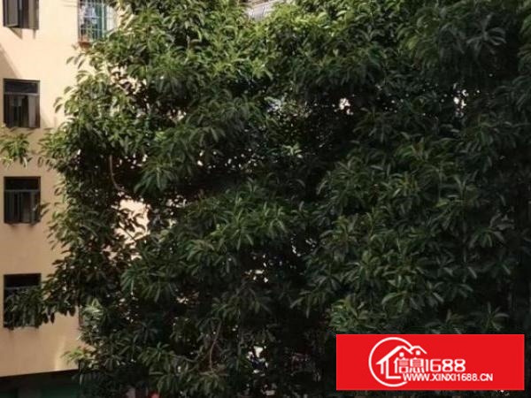 一手厂房（1楼）出租，宿舍配套齐全