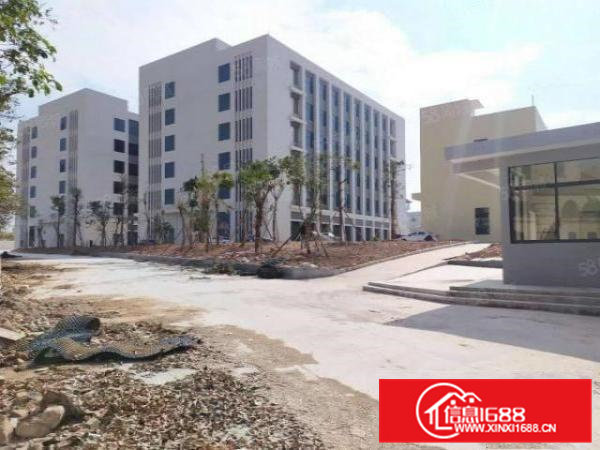 大岭山全新工业园全球招商，证件齐全可办环评，大小分租