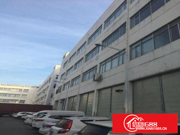 龙岗中心城9000平标准物流仓大小分割出租园区可托管