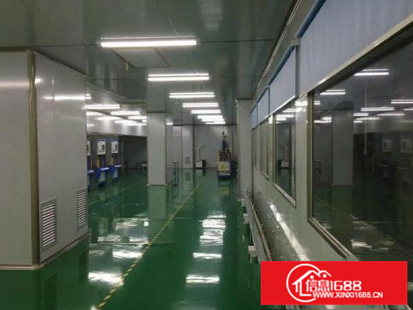 万级无尘车间单层1800共7200平4层豪华装修出租虎门