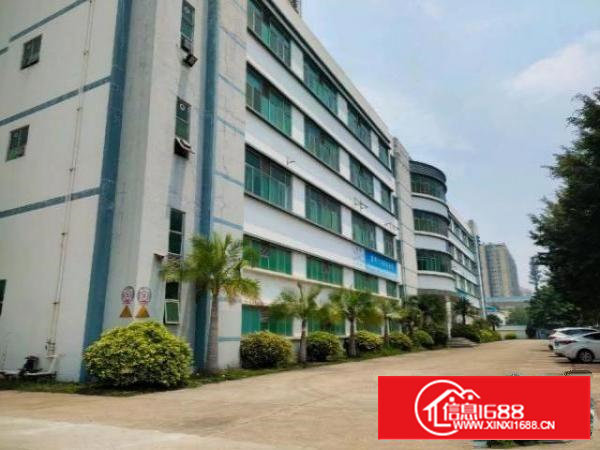 沙井沙三松福大道边上。园区形象好，空地大，一手房东