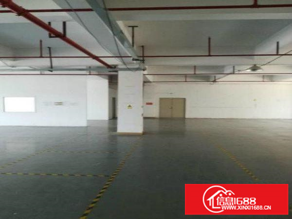 坪地坪东新出1.2楼600 400平底价出租