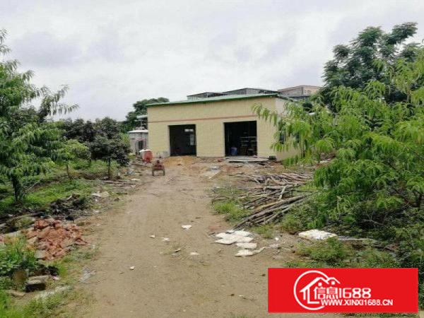 惠城金石二路独门独院单一层600平米，空地大