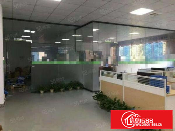 横沥新出独院厂房一楼1000平方，办公室精装修