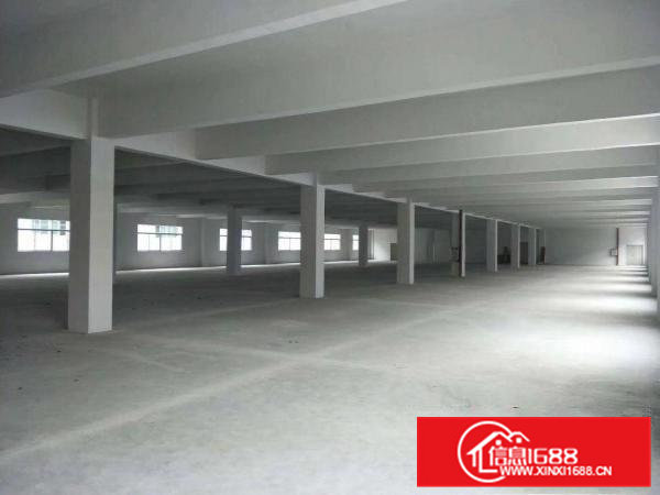 原房东独院厂房6000平方出租