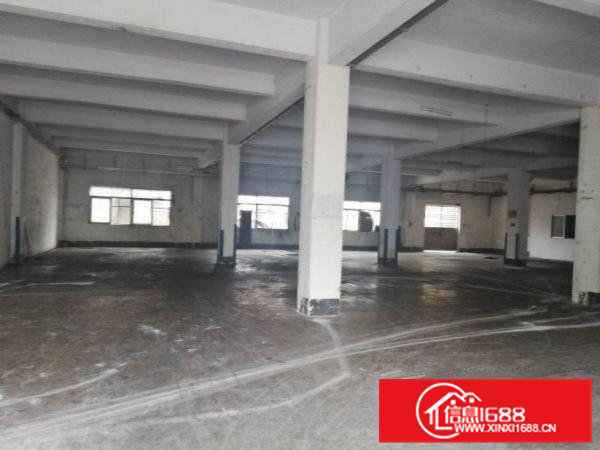 青皇原房东一楼标准厂房1000平米带装修出租