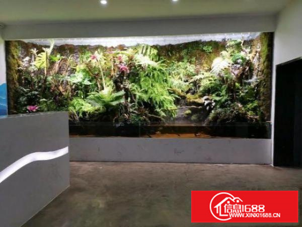 龙华厂房招租500平起租