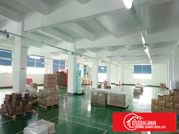 塘厦科苑城大坪出口原房东独院厂房12800平米出租