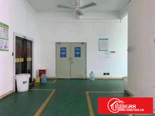 大康小面积厂房：200：500平方，有电梯