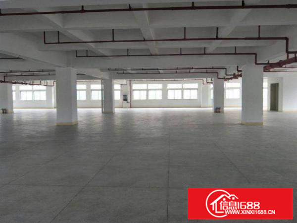 惠阳新墟全新1300平标准楼房出租可分租，水电办公室齐全